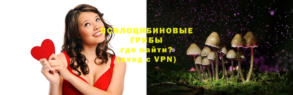 PSILOCYBIN Долгопрудный