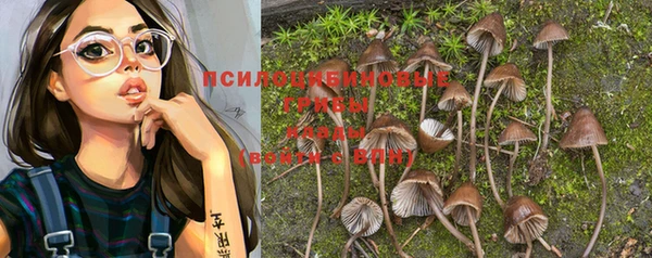 jwh Кукмор