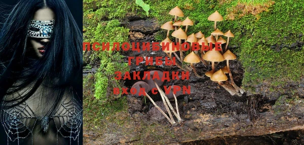 PSILOCYBIN Красноперекопск